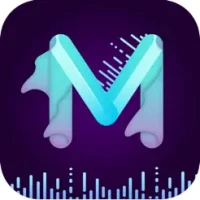 Video Downloader - MV Master