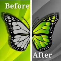 Compare photo Before and After