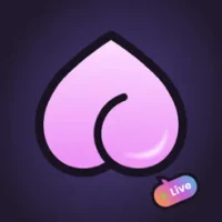 Video Chat: Meet Cam