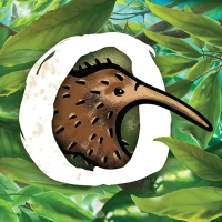 The Search for Lost Species