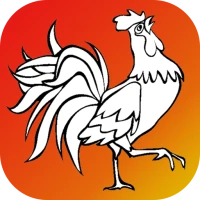 Bird Coloring for Kids