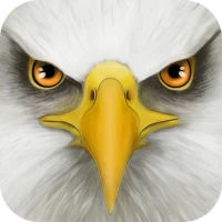 Ultimate Bird Simulator